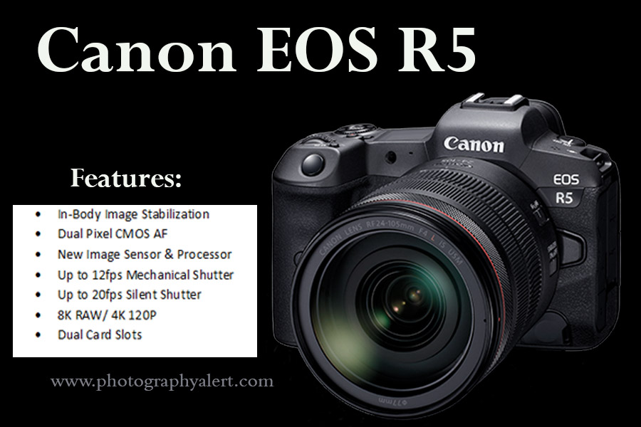 Read more about the article Canon EOS R5: Features and Release