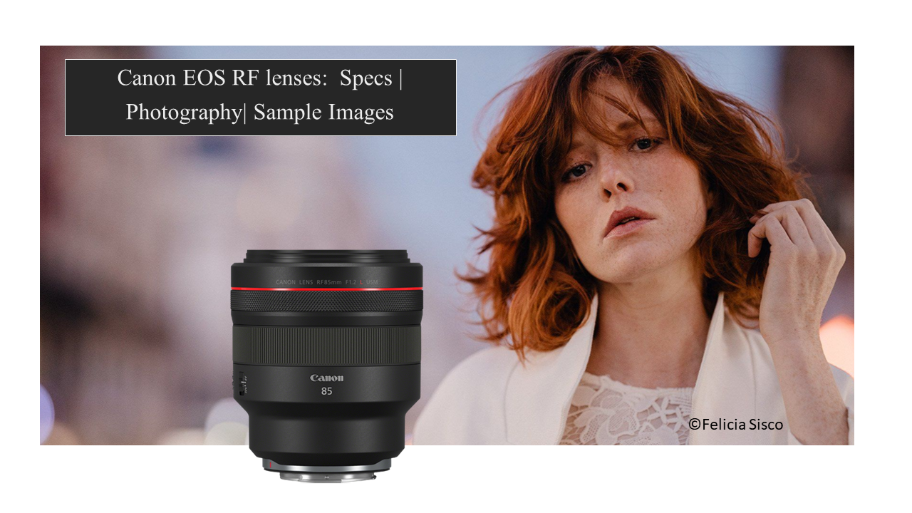 You are currently viewing Canon EOS RF lenses: Specs| Photography|Sample images