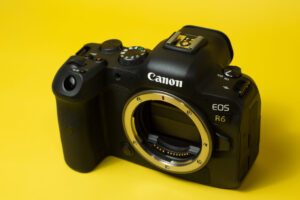 Read more about the article Are Mirrorless Cameras the Best Option for Beginners?
